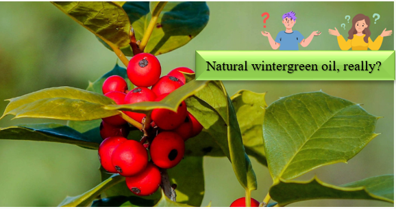 Minyak Wintergreen - Bagaimanakah bahan sintetik boleh dikenal pasti dan diuji untuk keasliannya?